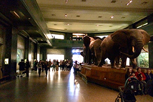Exorcist II: The Heretic filming location: Akeley Hall, American Museum Of Natural History, New York